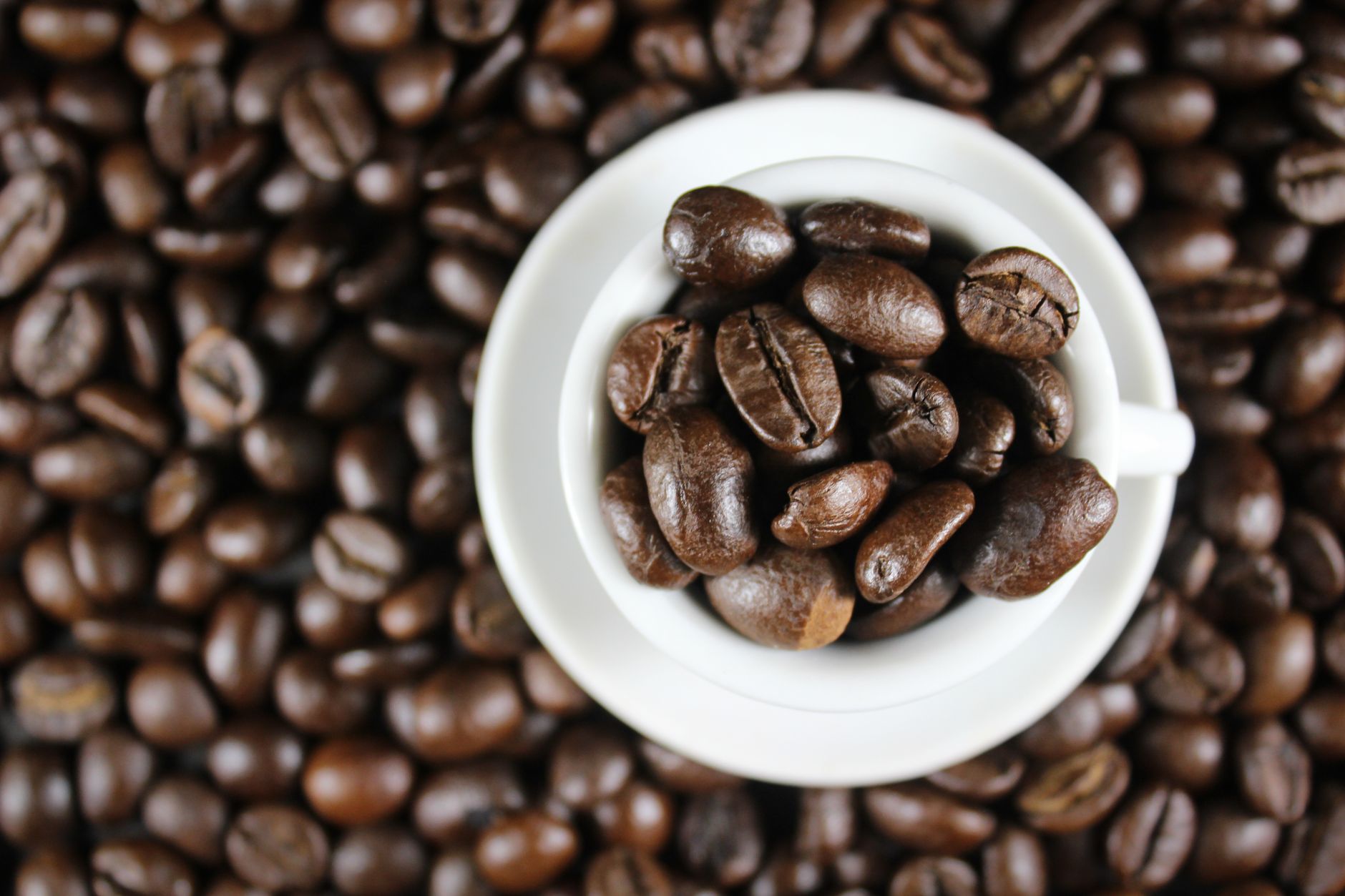 Robusta AAA green coffee beans
